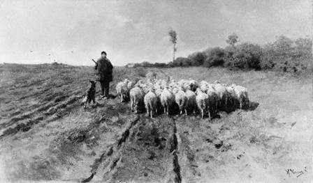 A person and a dog herding sheep

Description automatically generated with low confidence